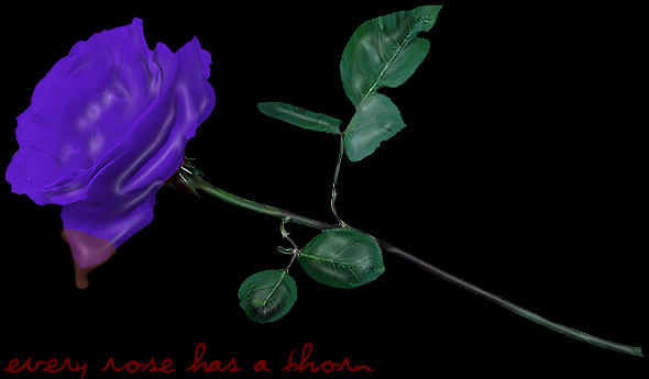 every rose has a thorn